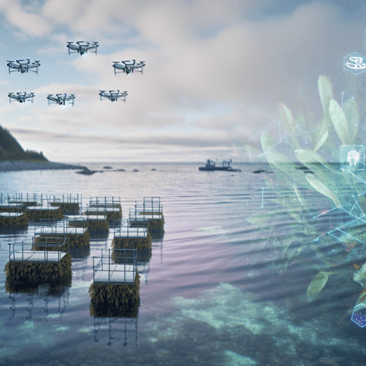 Harnessing the Ocean: Sustainable Seaweed Farming's Potential to Revolutionize Aquaculture and Bio-Product Innovation